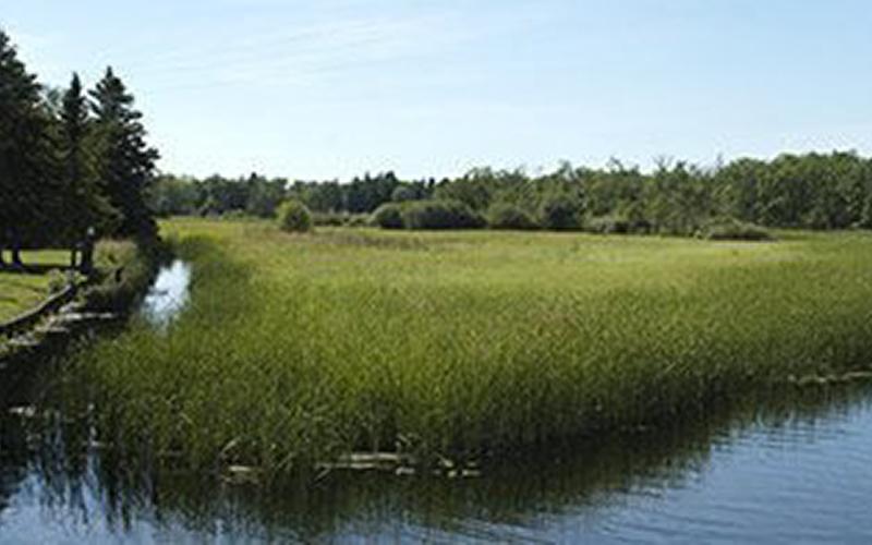 MN_East-West_Tour-Big_Bog_Recreation_Area