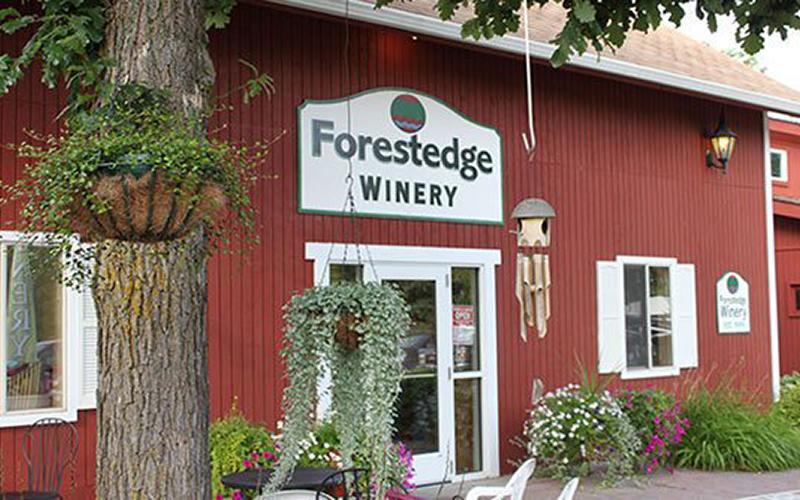 MN_East-West_Tour-Forest_Edge_Winery