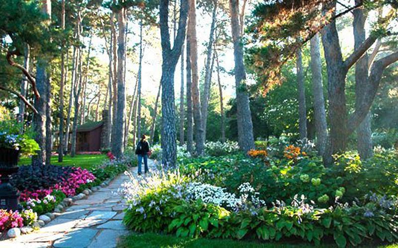 Skylines_to_Treelines-Munsinger_Clemens_Gardens